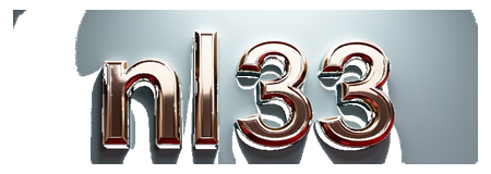 nl33 logo